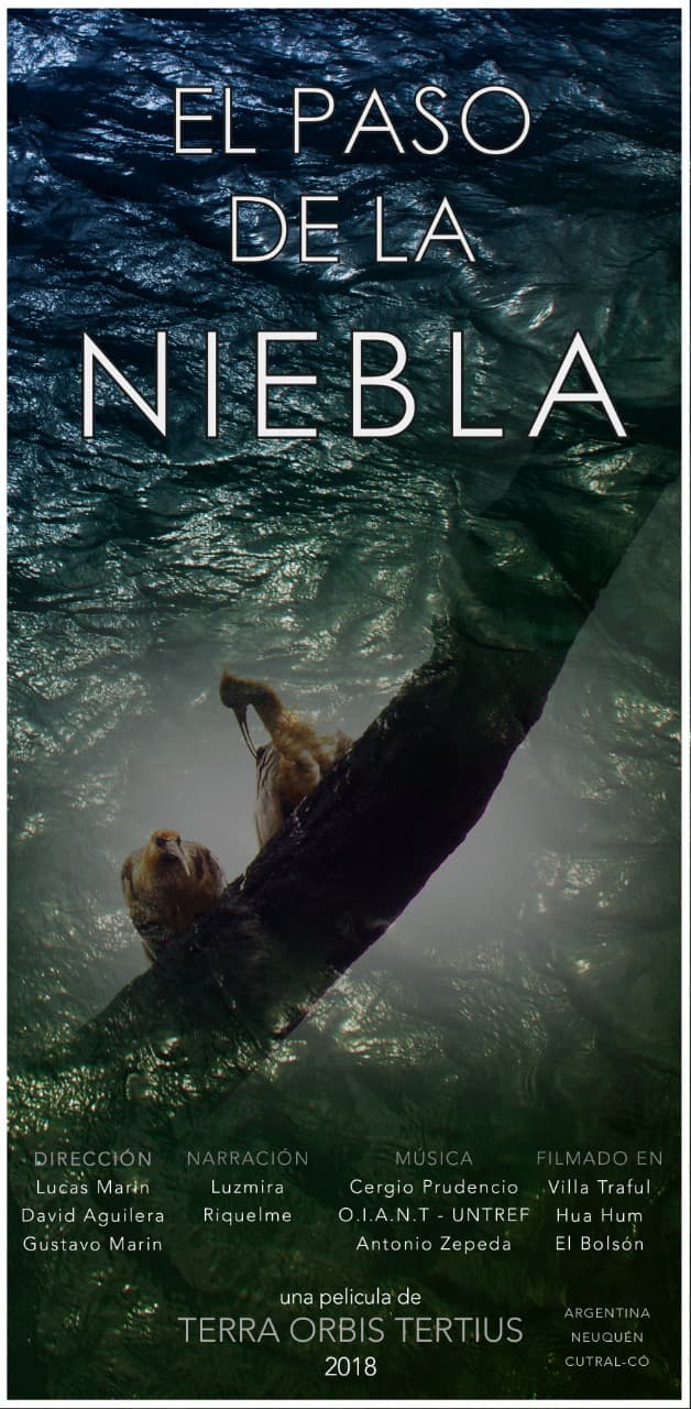 Afiche de El Paso de la Niebla